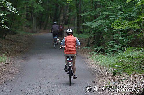 rowerzyści na szlaku rowerowym na wyspie Uznam, Niemcy