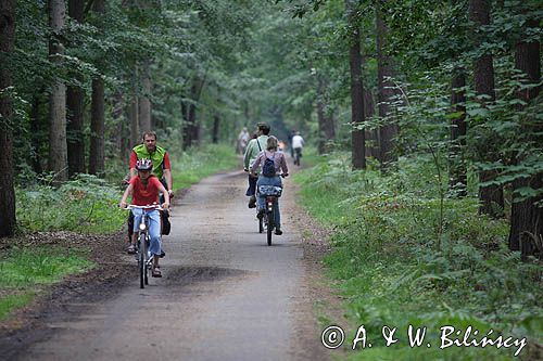 rowerzyści na szlaku rowerowym na wyspie Uznam, Niemcy