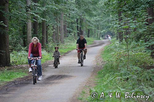 rowerzyści na szlaku rowerowym na wyspie Uznam, Niemcy