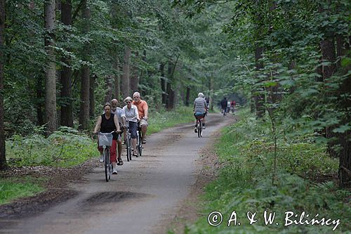 rowerzyści na szlaku rowerowym na wyspie Uznam, Niemcy