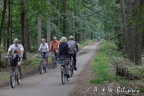 rowerzyści na szlaku rowerowym na wyspie Uznam, Niemcy