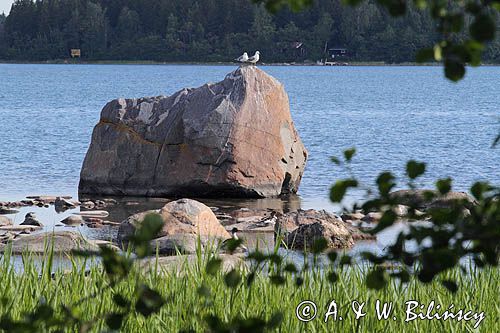 wybrzeże wyspy Vaha-Huilkrunnii, Finlandia, Zatoka Botnicka, Park Narodowy