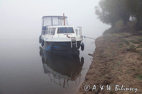 rzeka Wisła, przy brzegu we mgle