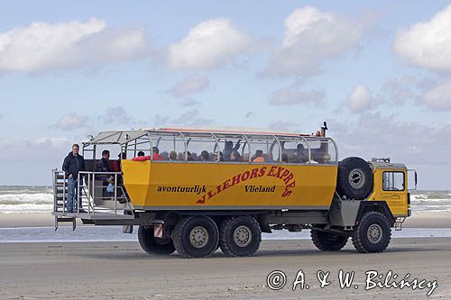 turysyczny autobus na wyspie Vlieland, Wyspy Fryzyjskie, Holandia, Waddensee, Morze Wattowe