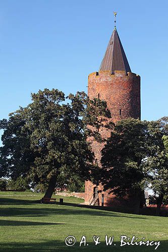 Gęsia Wieża w Vordingborg, pozostałość zamku, Storstrommen, Zelandia, Dania