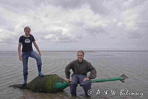 znak nawigacyjny w czasie odpływu, mud walking, wycieczki piesze po osuchach na morzu, Warffumerlaag koło Noordpolderzijl, Fryzja, Waddenzee, Holandia, Morze Wattowe