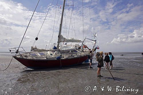 jacht na osuchu w czasie odpływu i mud walking, wycieczki piesze po osuchach na morzu, Warffumerlaag koło Noordpolderzijl, Fryzja, Waddenzee, Holandia, Morze Wattowe