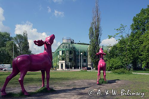 Warszawa nowy budynek BUW - Biblioteki Uniwersyteckiej