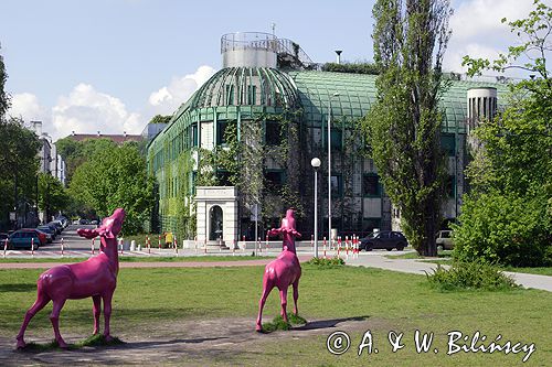 Warszawa nowy budynek BUW - Biblioteki Uniwersyteckiej