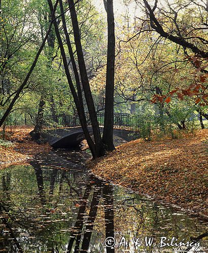 mostek w parku Skaryszewskim, Warszawa