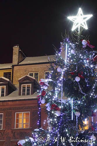 świąteczna iluminacja Warszawy, choinka na Rynku Starego Miasta