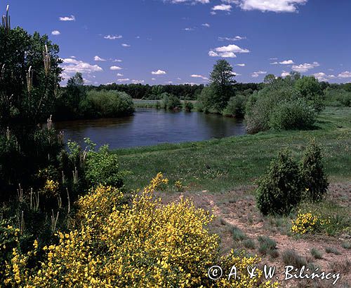 rzeka Warta Załęczański Park Krajobrazowy