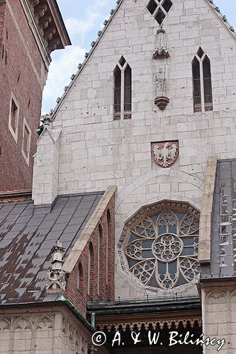 Cracow Wawel Katedra