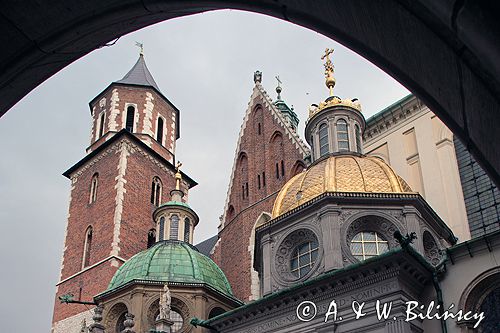 Cracow Wawel Katedra