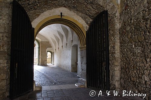 Cracow Wawel Zamek Królewski brama