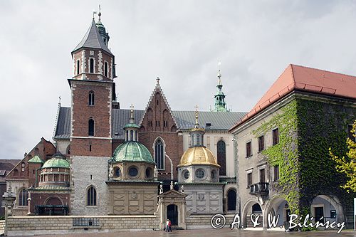 Cracow Wawel Katedra