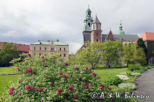 Cracow Wawel Katedra i Wikarówka