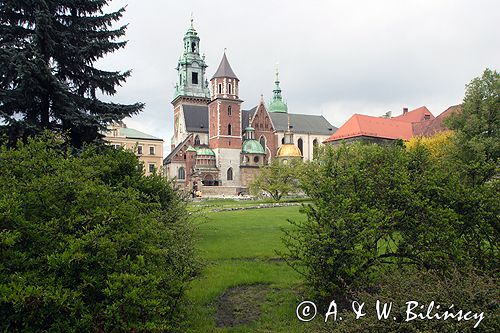 Cracow Wawel Katedra