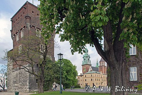 Cracow Wawel Wieża Złodziejska