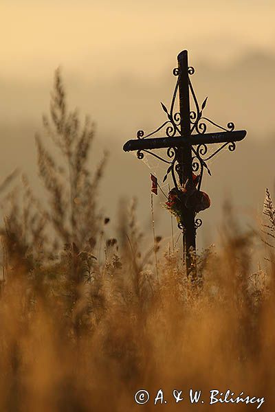 Krzyż przydrożny, Wesoła, Pogórze Dynowskie