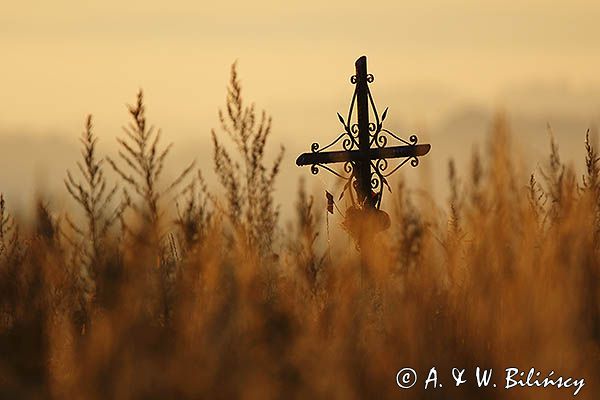 Krzyż przydrożny, Wesoła, Pogórze Dynowskie