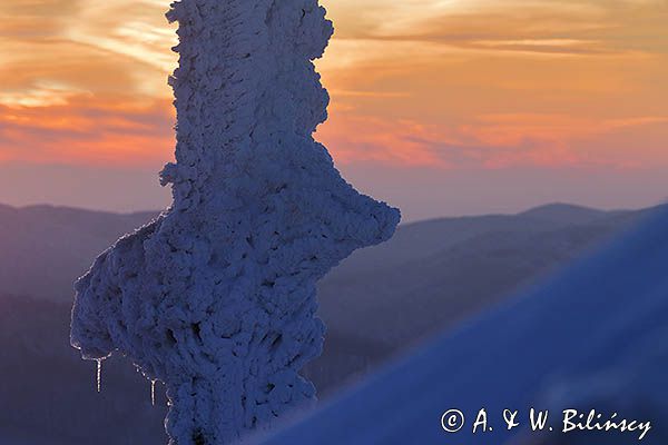 Zima na Połoninie Wetlińskiej, Bieszczady