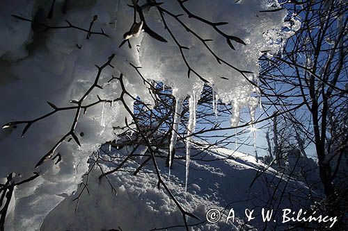 Sople na stoku Połoniny Wetlińskiej, Bieszczady