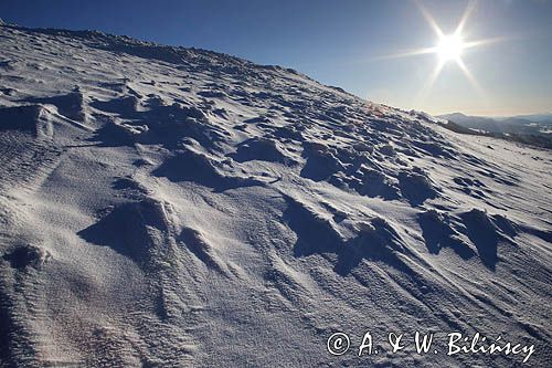 Na stoku Połoniny Wetlińskiej, Bieszczady