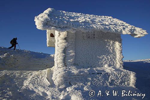 Na Połoninie Wetlińskiej, Bieszczady