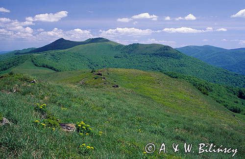 Połonina Wetlińska, Bieszczady, Polska