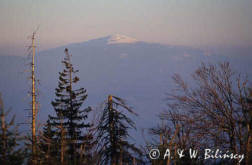 Beskid Śląski - widok ze Skrzycznego na Pilsko