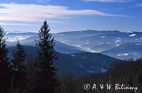 widok z Rówinicy na Beskid Śląski