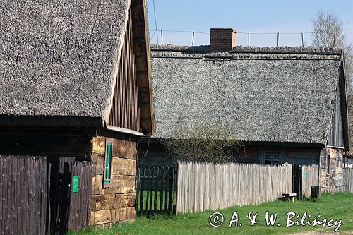 Wielkopolski park etnograficzny w Dziekanowicach