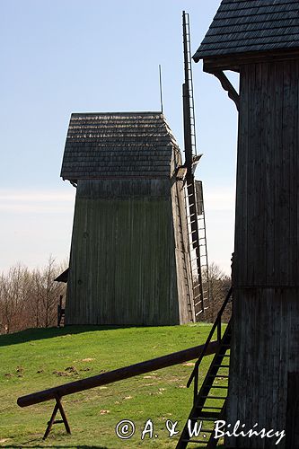 Wielkopolski park etnograficzny w Dziekanowicach wiatraki koźlaki z Mierzewa i Kędzierzyna