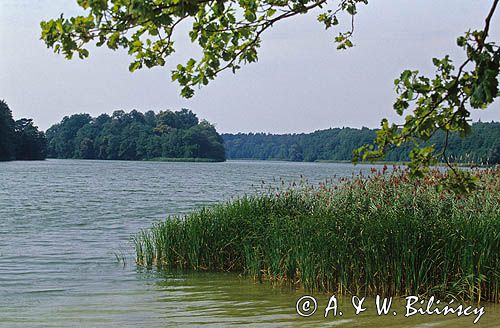 Wielkopolski Park Narodowy jezioro Góreckie