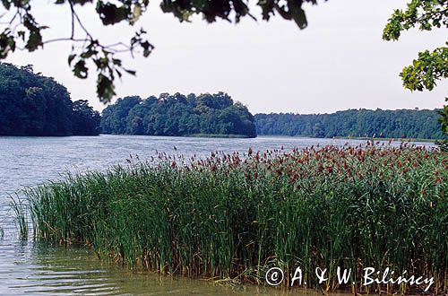 Wielkopolska jezioro Góreckie Wielkopolski Park Narodowy