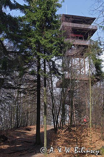 Wieżyca, wieża widokowa, Kaszubski Park Krajobrazowy, Kaszuby