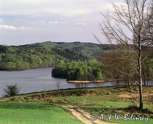 Widok z Jastrzębiej Góry na Wieżycę i jezioro Ostrzyckie, Kaszubski Park Krajobrazowy