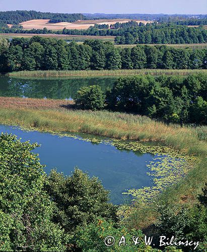 nad jez. Wigry, Wigierski Park Narodowy, widok z wieży widokowej