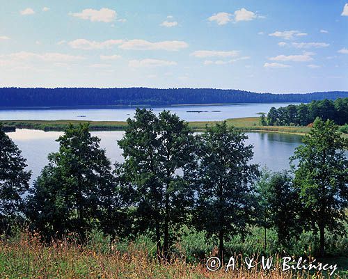 nad jez. Wigry, Wigierski Park Narodowy, wieża widokowa