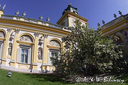 Wilanów, pałac