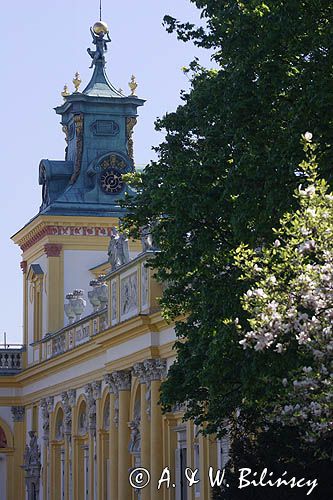 Wilanów, pałac