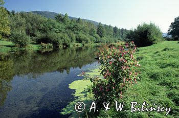 Wisła Ustroń Beskid Śląski