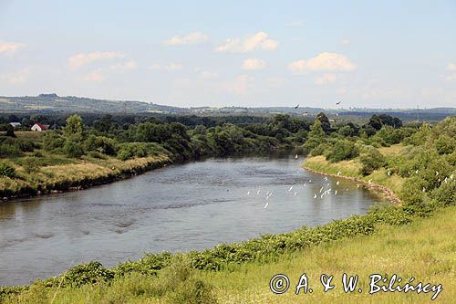 Rzeka Wisła w Smolicach, Małopolska