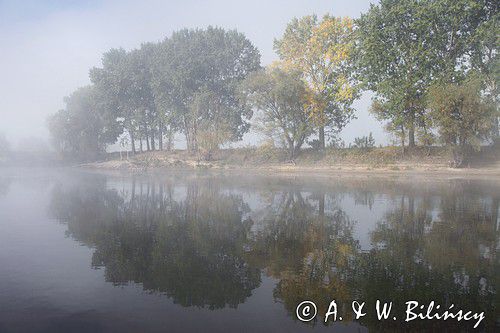 rzeka Wisła, Zespół Parków Krajobrazowych Chełmińskiego i Nadwiślańskiego