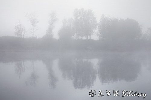 rzeka Wisła, Zespół Parków Krajobrazowych Chełmińskiego i Nadwiślańskiego