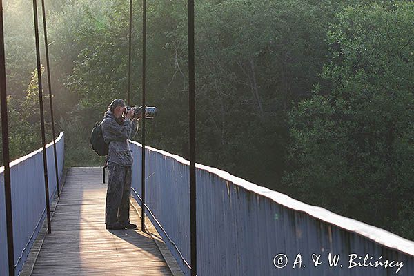 Fotograf przyrody, strój maskujący, kładka na Sanie, Bieszczady