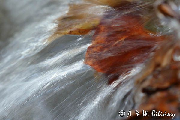 Potok, płynąca woda