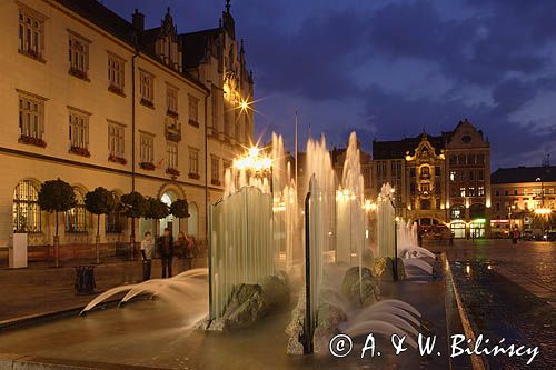 Wrocław, Stare Miasto, fontanna na Rynku