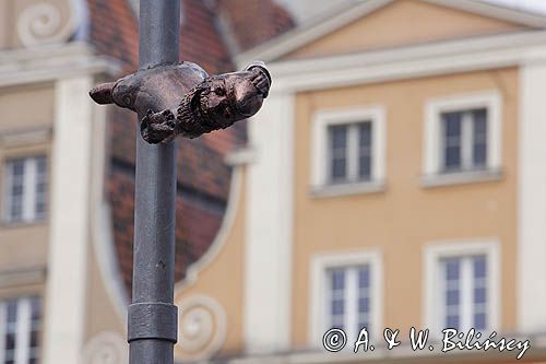 Wrocław, Stare Miasto, wrocławskie krasnale, Słupnik